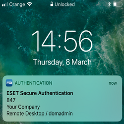 ESET Secure Authentication – двухфакторная аутентификация является эффективным решением.