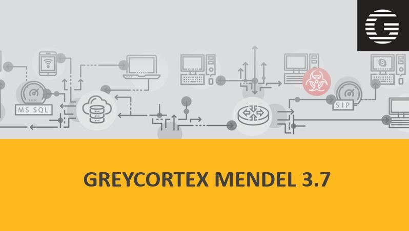 Быстрое реагирование GreyCortex Mendel 3.7 гарантирует безопасность сетевого трафика компании.